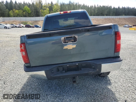2009 Chevrolet Silverado 1500 LT with VIN 3GCEC23J19G110397, listed as a Copart auction lot 52203125 with 175,022 mi miles and Salvage Title. Bid and sale history available at carsss.com. Image 6.