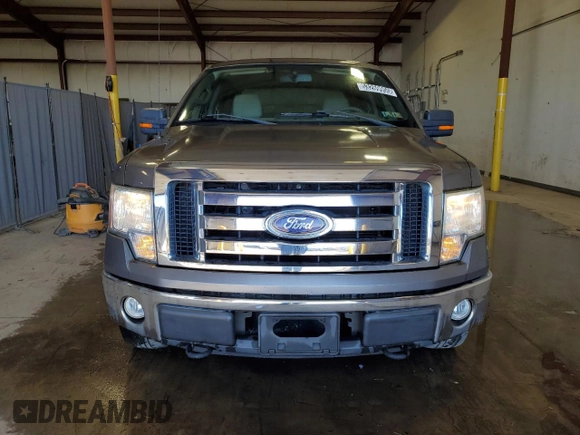 2009 Ford F-150 XL with VIN 1FTRW14879FB39001, listed as a Copart auction lot 53269955 with 123,871 mi miles and Clean Title. Bid and sale history available at carsss.com. Image 5.