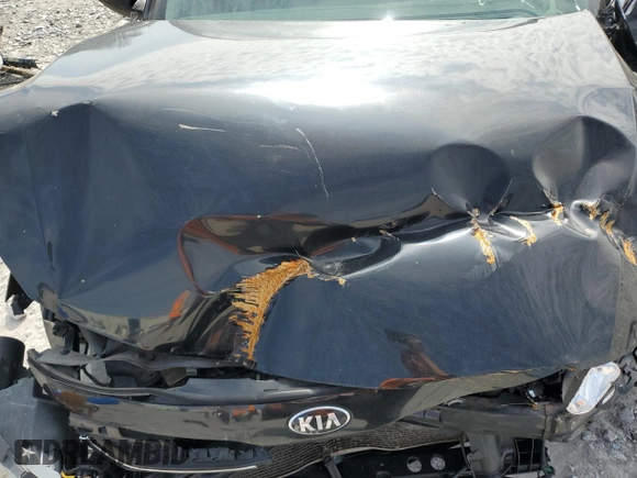 2013 Kia Optima LX with VIN 5XXGM4A79DG196336, listed as a Copart auction lot 44986605 with 0 mi miles and Salvage Title. Bid and sale history available at carsss.com. Image 13.