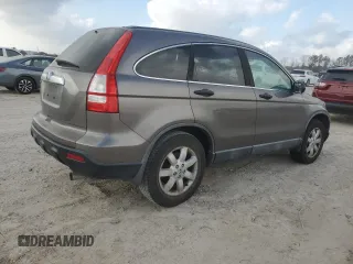 2009 Honda CR-V EX with VIN 5J6RE48569L012210, listed as a Copart auction lot 44031145 with 289,356 mi miles and Salvage Title. Bid and sale history available at carsss.com. Image 3.