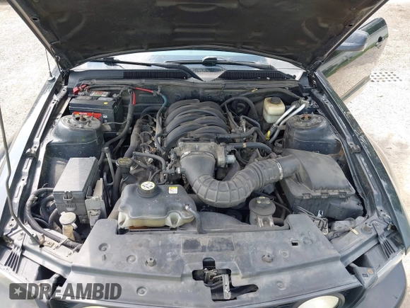 2007 Ford Mustang GT Deluxe with VIN 1ZVFT82H275230619, listed as a IAAI auction lot 42478109 with 129,201 mi miles and . Bid and sale history available at DreamBid. Image 10.