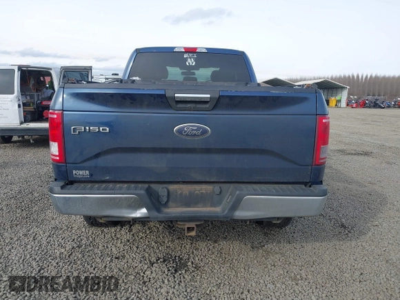 2017 Ford F-150 XL with VIN 1FTEX1EP1HKC56211, listed as a IAAI auction lot 41425405 with 171,152 mi miles. Bid and sale history available at carsss.com. Image 17.