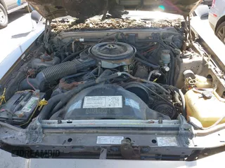 1987 Ford Thunderbird z VIN 1FABP6033HH213366, wystawiony jako IAAI lot #42368900 z przebiegiem Nie podano mil oraz . Historia ofert i sprzedaży dostępna na DreamBid. Obrazek 10.