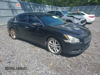 2010 Nissan Maxima SV with VIN 1N4AA5AP3AC829595, listed as a IAAI auction lot 42718434 with 219,043 mi miles and . Bid and sale history available at DreamBid. Image 1.