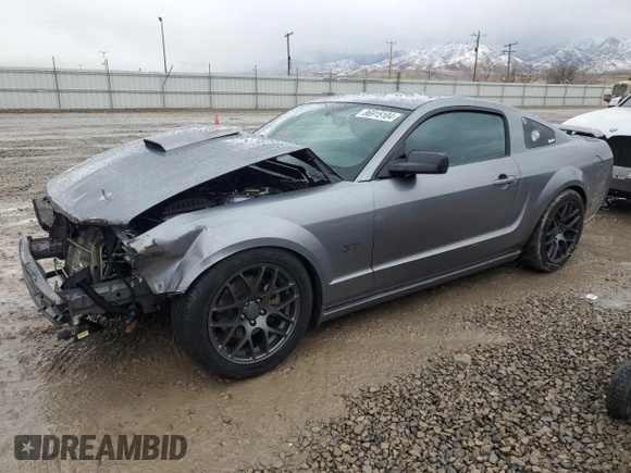 2007 Ford Mustang GT Deluxe with VIN 1ZVFT82H875274785, listed as a Copart auction lot 45746645 with Not provided miles and Salvage title. Bid and sale history available at DreamBid. Image 1.