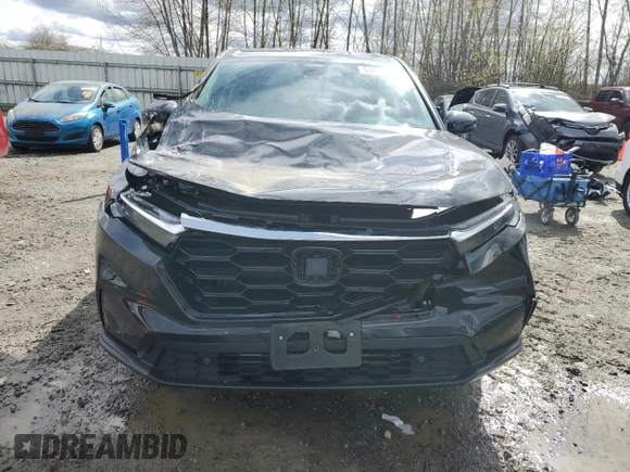 2024 Honda CR-V EX-L with VIN 2HKRS4H74RH471112, listed as a Copart auction lot 51018025 with 0 mi miles and Salvage Title. Bid and sale history available at carsss.com. Image 5.
