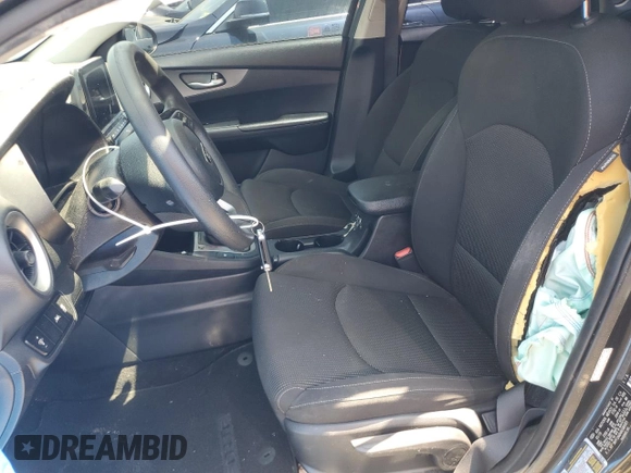 2019 Kia Forte LXS with VIN 3KPF24AD4KE080085, listed as a Copart auction lot 58801865 with 118,271 mi miles and Salvage title. Bid and sale history available at DreamBid. Image 7.