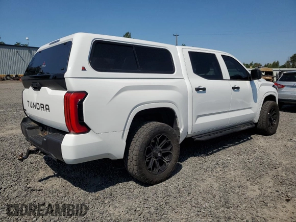 2022 Toyota Tundra SR with VIN 5TFKB5DB1NX014807, listed as a Copart auction lot 61888704 with 48,584 mi miles and Salvage title. Bid and sale history available at DreamBid. Image 3.