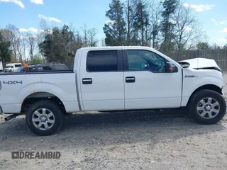 2013 Ford F-150 XL with VIN 1FTFW1EF7DKD34810, listed as a IAAI auction lot 41919083 with 158,531 mi miles. Bid and sale history available at carsss.com. Image 13.