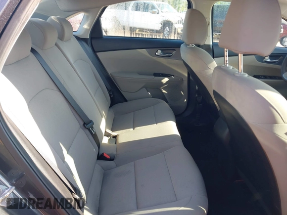 2019 Kia Forte LXS z VIN 3KPF24ADXKE139561, wystawiony jako IAAI lot #42188481 z przebiegiem 119 215 mil mil oraz . Historia ofert i sprzedaży dostępna na DreamBid. Obrazek 8.