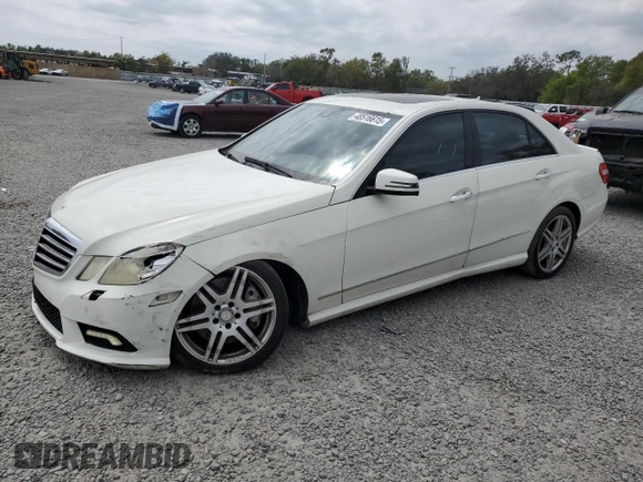 2010 Mercedes-Benz E 550 Luxury with VIN WDDHF7CB3AA134560, listed as a Copart auction lot 48516615 with 165,533 mi miles and Salvage Title. Bid and sale history available at DreamBid. Image 1.