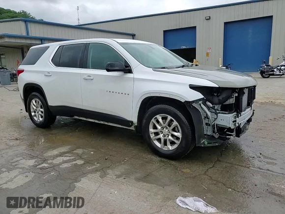 2020 Chevrolet Traverse LS with VIN 1GNEVFKW6LJ141687, listed as a Copart auction lot 58945845 with 112,249 mi miles and Salvage title. Bid and sale history available at DreamBid. Image 15.