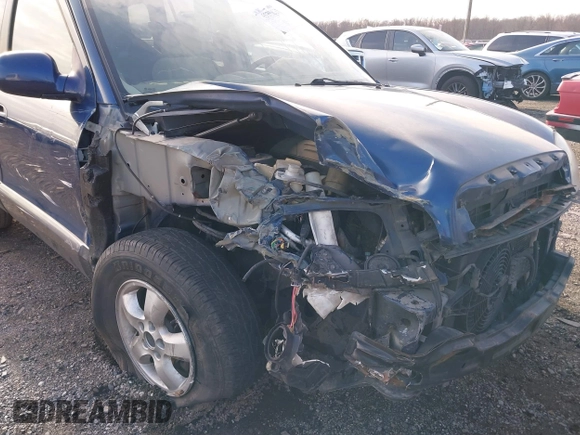 2006 Hyundai Santa Fe GLS with VIN KM8SC13D76U100145, listed as a IAAI auction lot 41093265 with 164,028 mi miles. Bid and sale history available at carsss.com. Image 6.