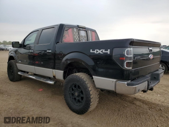 2011 Ford F-150 XLT with VIN 1FTFW1ET4BFC98666, listed as a Copart auction lot 59034455 with 175,742 mi miles and Salvage title. Bid and sale history available at DreamBid. Image 2.