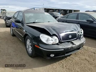 2003 Hyundai Sonata GLS with VIN KMHWF35H93A752394, listed as a Copart auction lot 76838254 with 124,234 mi miles and Salvage Title. Bid and sale history available at carsss.com. Image 11.