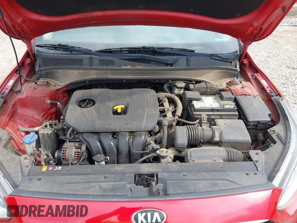 2019 Kia Forte LXS with VIN 3KPF24ADXKE108732, listed as a IAAI auction lot 42310809 with 57,748 mi miles and . Bid and sale history available at DreamBid. Image 10.