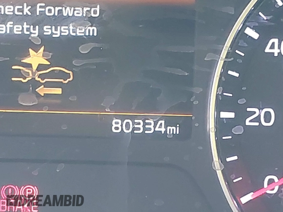 2022 Kia Forte LXS z VIN 3KPF24AD9NE490305, wystawiony jako IAAI lot #41979052 z przebiegiem 80 334 mil mil oraz . Historia ofert i sprzedaży dostępna na DreamBid. Obrazek 15.