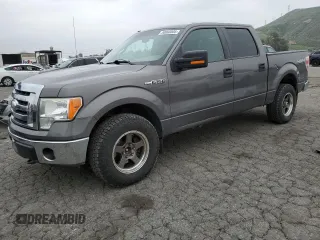 2009 Ford F-150 XL with VIN 1FTRW14839KC95513, listed as a Copart auction lot 50800005 with 220,571 mi miles and Clean Title. Bid and sale history available at carsss.com. Image 1.