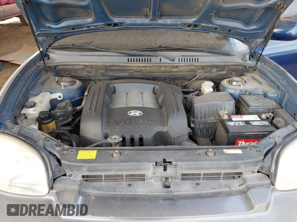 2006 Hyundai Santa Fe GLS with VIN KM8SC13D36U105732, listed as a IAAI auction lot 41733084 with 224,400 mi miles. Bid and sale history available at carsss.com. Image 10.