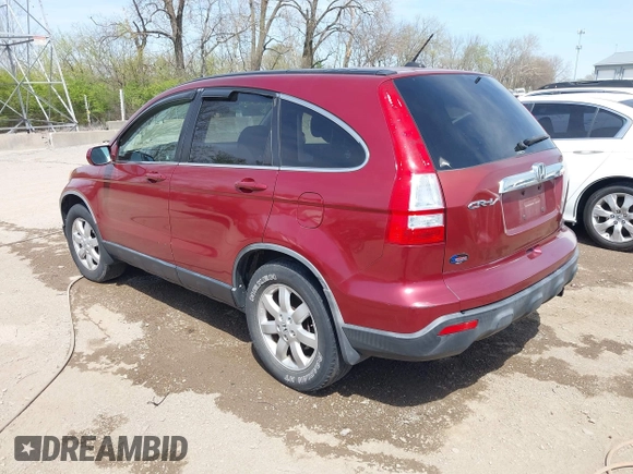 2008 Honda CR-V EX-L with VIN JHLRE48788C040261, listed as a IAAI auction lot 42006522 with 217,744 mi miles. Bid and sale history available at carsss.com. Image 3.