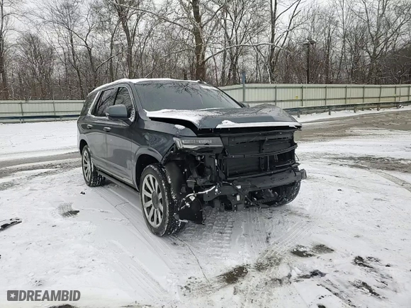 2021 Cadillac Escalade Premium Luxury Platinum with VIN 1GYS4DKL2MR193839, listed as a Copart auction lot 86813234 with 123,657 mi miles and Salvage Title. Bid and sale history available at carsss.com. Image 11.