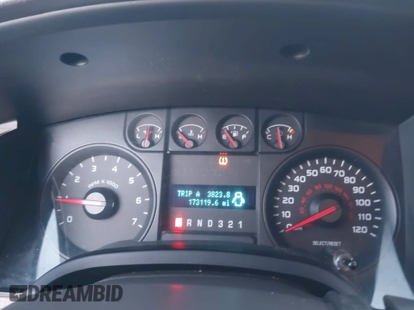2010 Ford F-150 XL with VIN 1FTEX1E87AFD47474, listed as a IAAI auction lot 42531609 with 173,119 mi miles and . Bid and sale history available at DreamBid. Image 7.