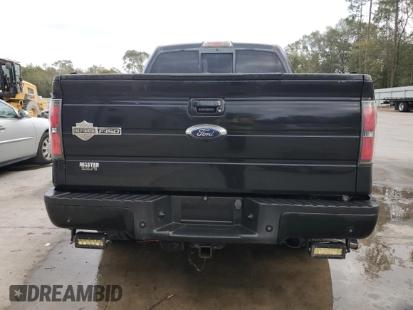 2010 Ford F-150 with VIN 1FTEW1CV0AFB54367, listed as a Copart auction lot 78797254 with 220,357 mi miles and Salvage title. Bid and sale history available at DreamBid. Image 6.