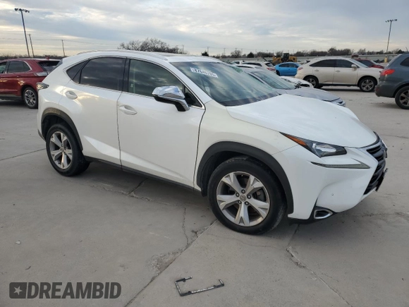 2017 Lexus NX with VIN JTJYARBZ1H2051519, listed as a Copart auction lot 87646765 with 95,862 mi miles and Salvage Title. Bid and sale history available at carsss.com. Image 4.