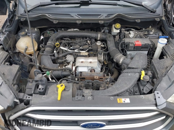 2019 Ford EcoSport SE with VIN MAJ3S2GE2KC288289, listed as a IAAI auction lot 42329260 with 116,370 mi miles and . Bid and sale history available at DreamBid. Image 10.