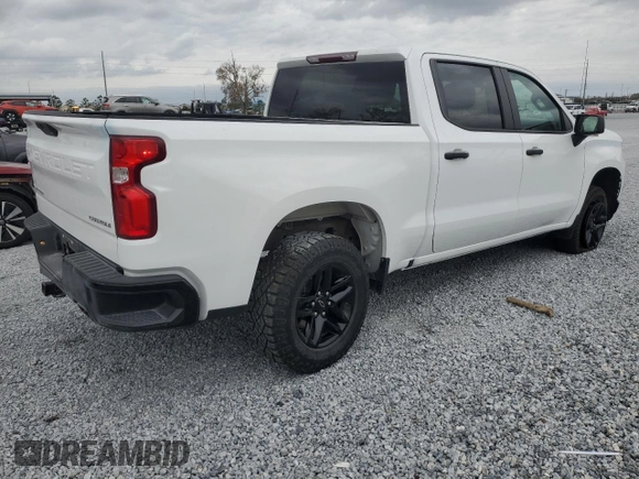 2022 Chevrolet Silverado 1500 Custom Trail Boss with VIN 1GCPYCEL0NZ140337, listed as a Copart auction lot 47146235 with 51,913 mi miles and Salvage Title. Bid and sale history available at DreamBid. Image 3.