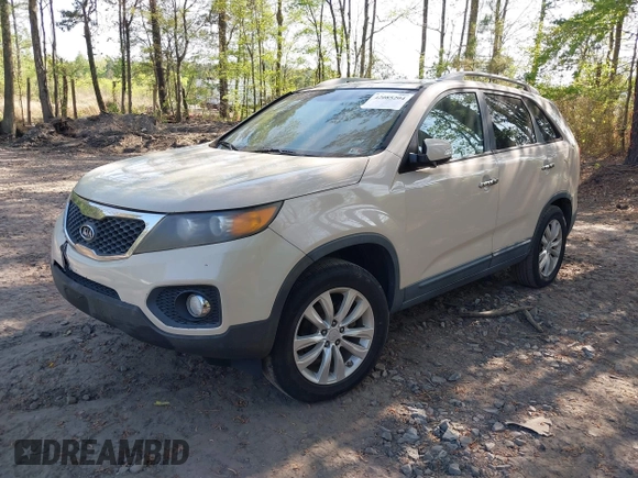2011 Kia Sorento EX with VIN 5XYKU4A27BG011773, listed as a IAAI auction lot 42085204 with 292,692 mi miles. Bid and sale history available at carsss.com. Image 2.