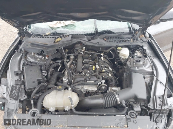 2022 Ford Mustang EcoBoost with VIN 1FA6P8TH5N5150143, listed as a IAAI auction lot 42516503 with Not provided miles and . Bid and sale history available at DreamBid. Image 10.