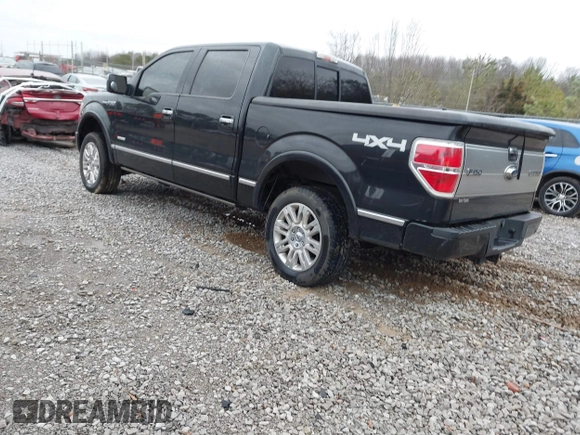 2013 Ford F-150 XL with VIN 1FTFW1ET5DFA49957, listed as a IAAI auction lot 41734397 with 265,121 mi miles. Bid and sale history available at carsss.com. Image 3.