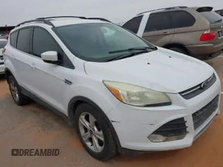 2013 Ford Escape SE with VIN 1FMCU0G98DUD52856, listed as a IAAI auction lot 41960201 with 123,591 mi miles. Bid and sale history available at carsss.com. Image 1.