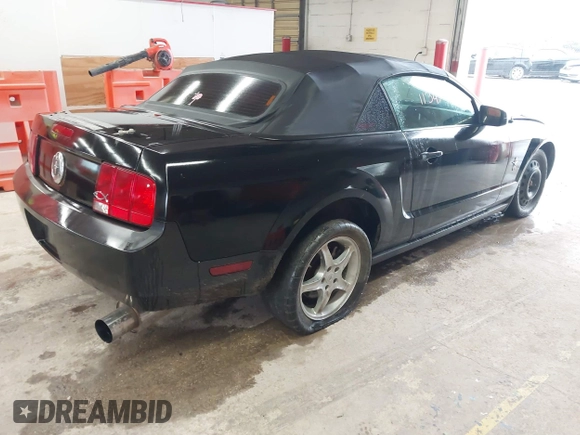 2008 Ford Mustang Deluxe with VIN 1ZVHT84N285117234, listed as a IAAI auction lot 42371134 with 235,658 mi miles and . Bid and sale history available at DreamBid. Image 4.