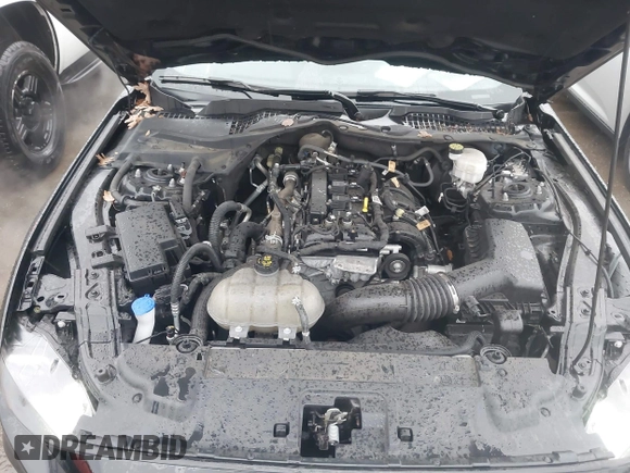 2022 Ford Mustang EcoBoost with VIN 1FA6P8TH4N5125234, listed as a IAAI auction lot 41427506 with 48,999 mi miles and . Bid and sale history available at DreamBid. Image 10.