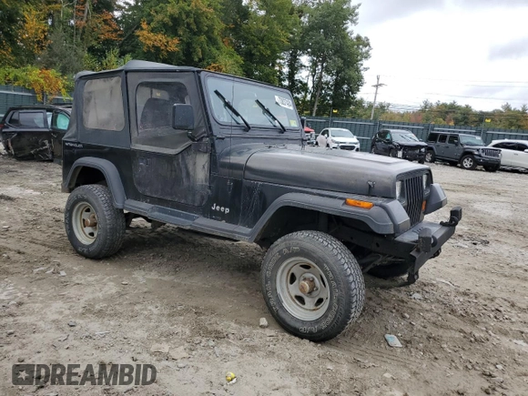 1994 Jeep Wrangler S with VIN 1J4FY19P6RP453045, listed as a Copart auction lot 73837484 with 165,406 mi miles and Clean Title. Bid and sale history available at carsss.com. Image 4.