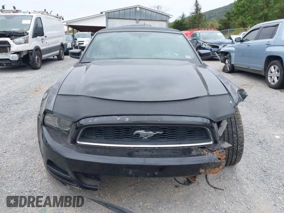 2013 Ford Mustang V6 with VIN 1ZVBP8EM3D5211391, listed as a IAAI auction lot 40585527 with 203,555 mi miles and . Bid and sale history available at DreamBid. Image 13.
