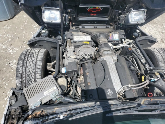 1996 Chevrolet Corvette z VIN 1G1YY22P9T5102060, wystawiony jako Copart lot #56195395 z przebiegiem Nie podano mil oraz Tytuł czysty. Historia ofert i sprzedaży dostępna na DreamBid. Obrazek 11.
