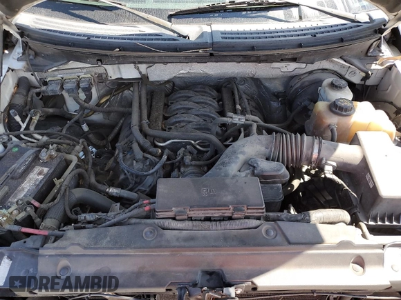 2013 Ford F-150 XL with VIN 1FTNF1CF1DKE06924, listed as a Copart auction lot 54252525 with 222,384 mi miles and Salvage title. Bid and sale history available at DreamBid. Image 11.