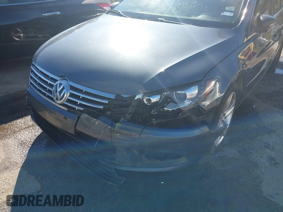 2014 Volkswagen CC R-Line with VIN WVWBN7AN1EE518173, listed as a IAAI auction lot 40895187 with 133,960 mi miles. Bid and sale history available at carsss.com. Image 6.