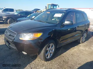2009 Hyundai Santa Fe SE with VIN 5NMSH13E49H329117, listed as a IAAI auction lot 41995036 with 251,494 mi miles. Bid and sale history available at carsss.com. Image 2.