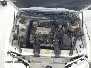 1998 Chevrolet Lumina with VIN 2G1WL52M0W1136830, listed as a IAAI auction lot 41860190 with 110,393 mi miles and . Bid and sale history available at DreamBid. Image 10.