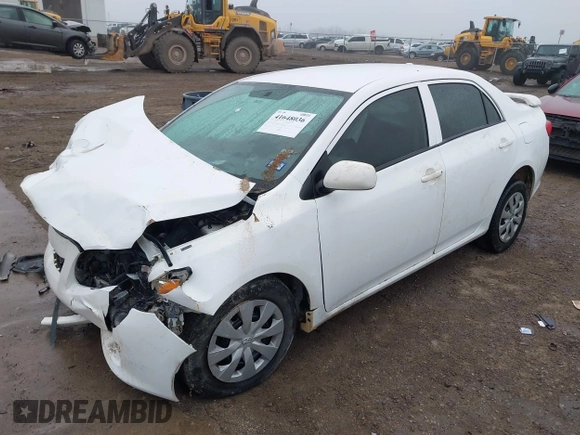 2010 Toyota Corolla with VIN JTDBU4EE6AJ078058, listed as a IAAI auction lot 41648036 with Not Provided miles and . Bid and sale history available at DreamBid. Image 2.