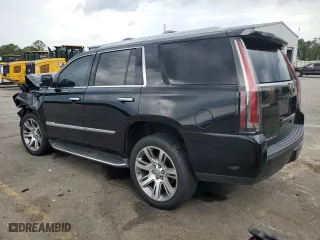 2016 Cadillac Escalade Luxury Collection with VIN 1GYS4BKJ9GR350242, listed as a Copart auction lot 57931484 with 109,111 mi miles and Salvage Title. Bid and sale history available at carsss.com. Image 2.