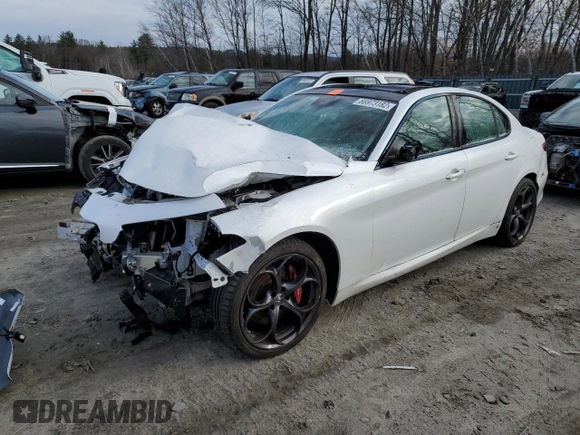 2019 Alfa Romeo Giulia Ti Sport with VIN ZARFANBN8K7604490, listed as a Copart auction lot 66973182 with 0 mi miles. Bid and sale history available at carsss.com. Image 1.