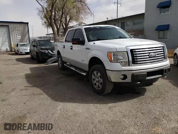 2011 Ford F-150 XLT with VIN 1FTFW1ET0BFC92699, listed as a Copart auction lot 48822555 with 202,806 mi miles and Salvage Title. Bid and sale history available at carsss.com. Image 11.