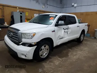 2008 Toyota Tundra Limited with VIN 5TBDV58188S512376, listed as a Copart auction lot 48208435 with 189,542 mi miles and Clean title. Bid and sale history available at DreamBid. Image 1.