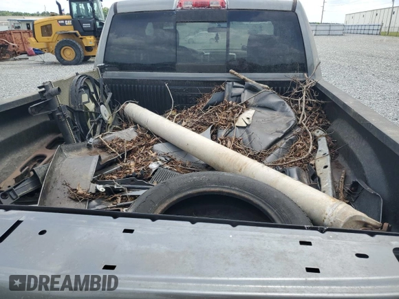 2009 Dodge 1500 SLT with VIN 1D3HB18P59S801519, listed as a Copart auction lot 55323755 with Not Provided miles and Clean Title. Bid and sale history available at carsss.com. Image 12.