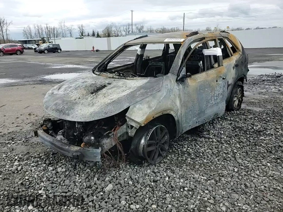 2015 Kia Sorento LX with VIN 5XYKTCA65FG594639, listed as a Copart auction lot 48934685 with Not Provided miles and Salvage Title. Bid and sale history available at DreamBid. Image 12.